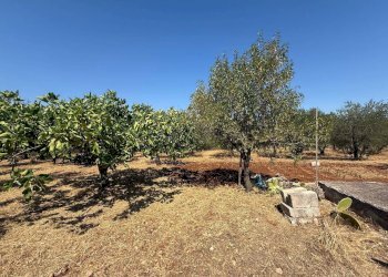 Foto 23 - Villa Massafra - foto 23