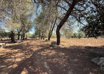 Foto 24 - Villa Massafra - foto 24