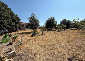 Foto 25 - Villa Massafra - foto 25