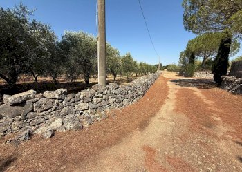 Foto 26 - Villa Massafra - foto 26