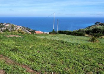 Foto 10 - Villa via degli inglesi, Bordighera - foto 10