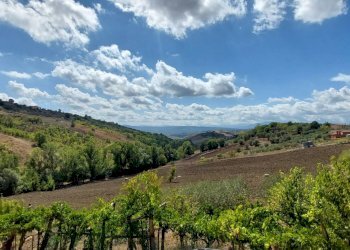 Foto 26 - Casa indipendente contrada creta, Ariano Irpino - foto 26