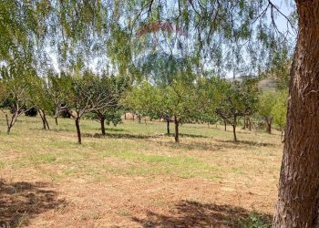 Giardino - Villa contrada ferrante, Aidone - foto 28