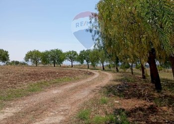 Giardino - Villa contrada ferrante, Aidone - foto 29