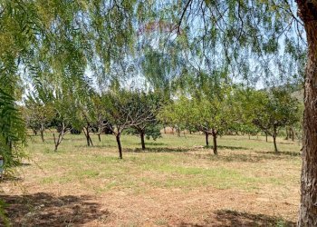 Giardino - Villa contrada ferrante, Aidone - foto 30