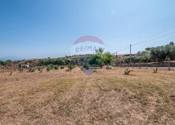 Giardino - Terreno edificabile Via Veronese
s.n., Grammichele - foto 4