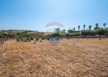 Vista delle montagne - Terreno edificabile Via Veronese
s.n., Grammichele - foto 8