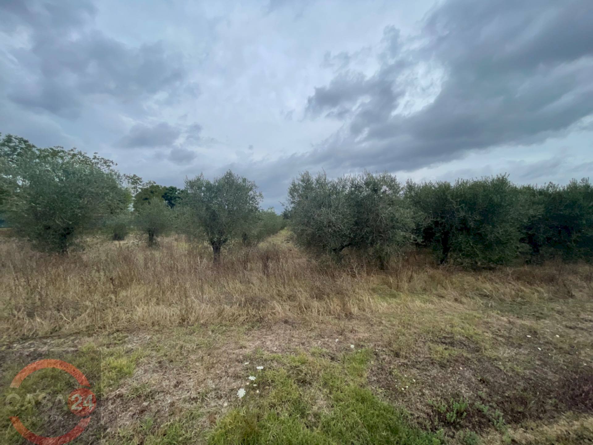 Foto 1 - Terreno agricolo via dell'anatra, Latina - foto 1