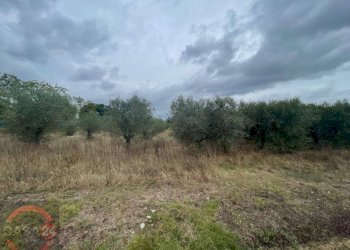 Foto 1 - Terreno agricolo via dell'anatra, Latina - foto 1