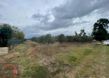 Foto 2 - Terreno agricolo via dell'anatra, Latina - foto 2