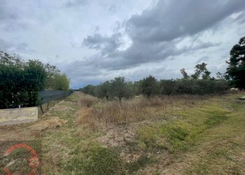 Foto 3 - Terreno agricolo via dell'anatra, Latina - foto 3