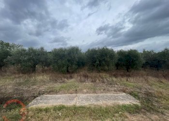 Foto 4 - Terreno agricolo via dell'anatra, Latina - foto 4