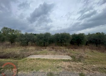 Foto 7 - Terreno agricolo via dell'anatra, Latina - foto 7