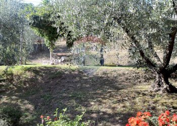 Giardino - Rustico Bagni di Lucca - foto 17