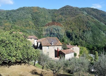 Vista delle montagne - Rustico Bagni di Lucca - foto 39