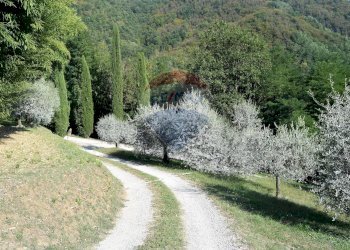 Giardino - Rustico Bagni di Lucca - foto 49