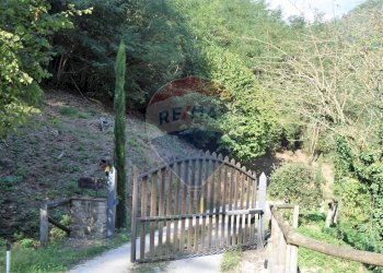 Giardino - Rustico Bagni di Lucca - foto 51