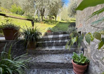Giardino - Rustico loc. Fronzola
 
3, Bagni di Lucca - foto 66