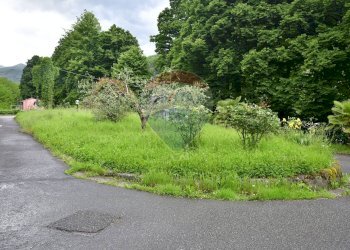Giardino - Appartamento Bagni di Lucca - foto 17