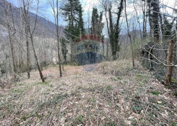 Giardino - Casa semi indipendente Strada dell'abetone e del brennero Località Ponte Coccia
 
4, Bagni di Lucca - foto 28