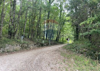 Giardino - Villa SR 83 MARSICANA, Civitella Alfedena - foto 3