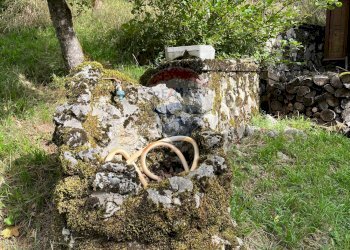 Giardino - Villa SR 83 MARSICANA, Civitella Alfedena - foto 39