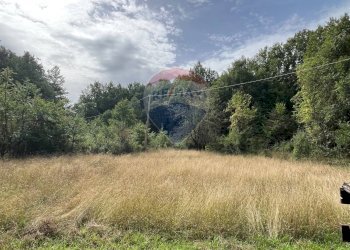 Giardino - Villa SR 83 MARSICANA, Civitella Alfedena - foto 44