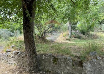 Giardino - Semi-detached house Via Nazionale
 
103, Pizzone - photo 42