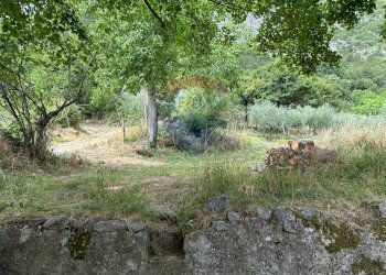 Giardino - Semi-detached house Via Nazionale
 
103, Pizzone - photo 43