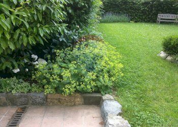 Giardino - Semi-detached house Via Coltura
 
1, Lenna - photo 20