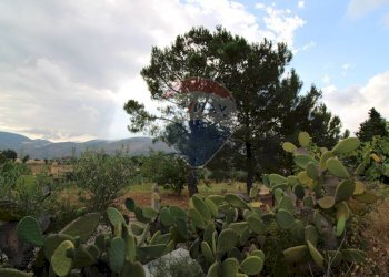 Vista delle montagne - Building land ss121 km240, Misilmeri - photo 5
