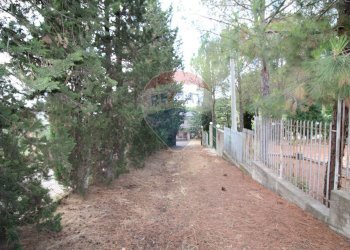 Giardino - Building land ss121 km240, Misilmeri - photo 9