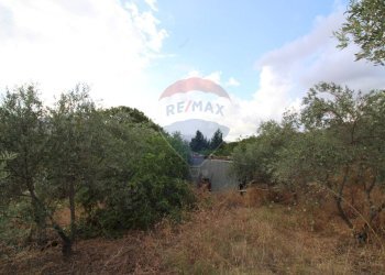 Giardino - Building land ss121 km240, Misilmeri - photo 17