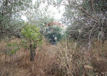 Non correlato - Building land ss121 km240, Misilmeri - photo 18