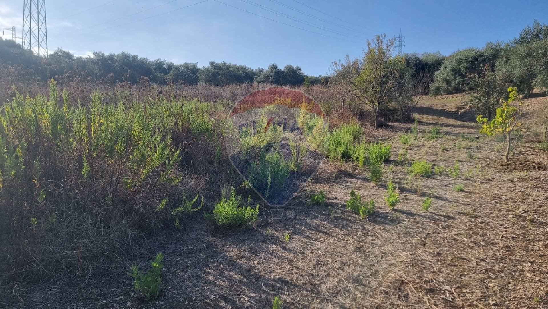 Vista delle montagne - Agricultural land CONTRADA AMALFITANO
 
SNC, Bagheria - photo 2
