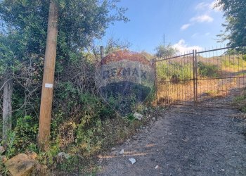 Giardino - Agricultural land CONTRADA AMALFITANO
 
SNC, Bagheria - photo 4