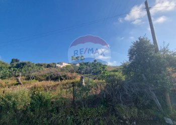 Vista delle montagne - Agricultural land CONTRADA AMALFITANO
 
SNC, Bagheria - photo 6
