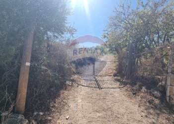 Non correlato - Agricultural land CONTRADA AMALFITANO
 
SNC, Bagheria - photo 7