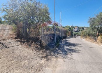 Non correlato - Agricultural land CONTRADA AMALFITANO
 
SNC, Bagheria - photo 8