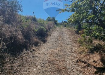 Vista delle montagne - Agricultural land CONTRADA AMALFITANO
 
SNC, Bagheria - photo 9