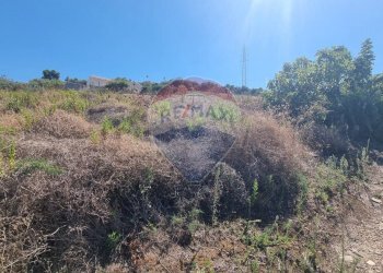 Vista delle montagne - Agricultural land CONTRADA AMALFITANO
 
SNC, Bagheria - photo 10