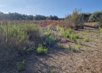 Vista delle montagne - Agricultural land CONTRADA AMALFITANO
 
SNC, Bagheria - photo 2