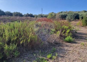 Vista delle montagne - Agricultural land CONTRADA AMALFITANO
 
SNC, Bagheria - photo 13