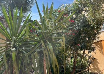 Foto 11 - Quadrilocale Via Matteotti
 
25, Cervo - foto 11