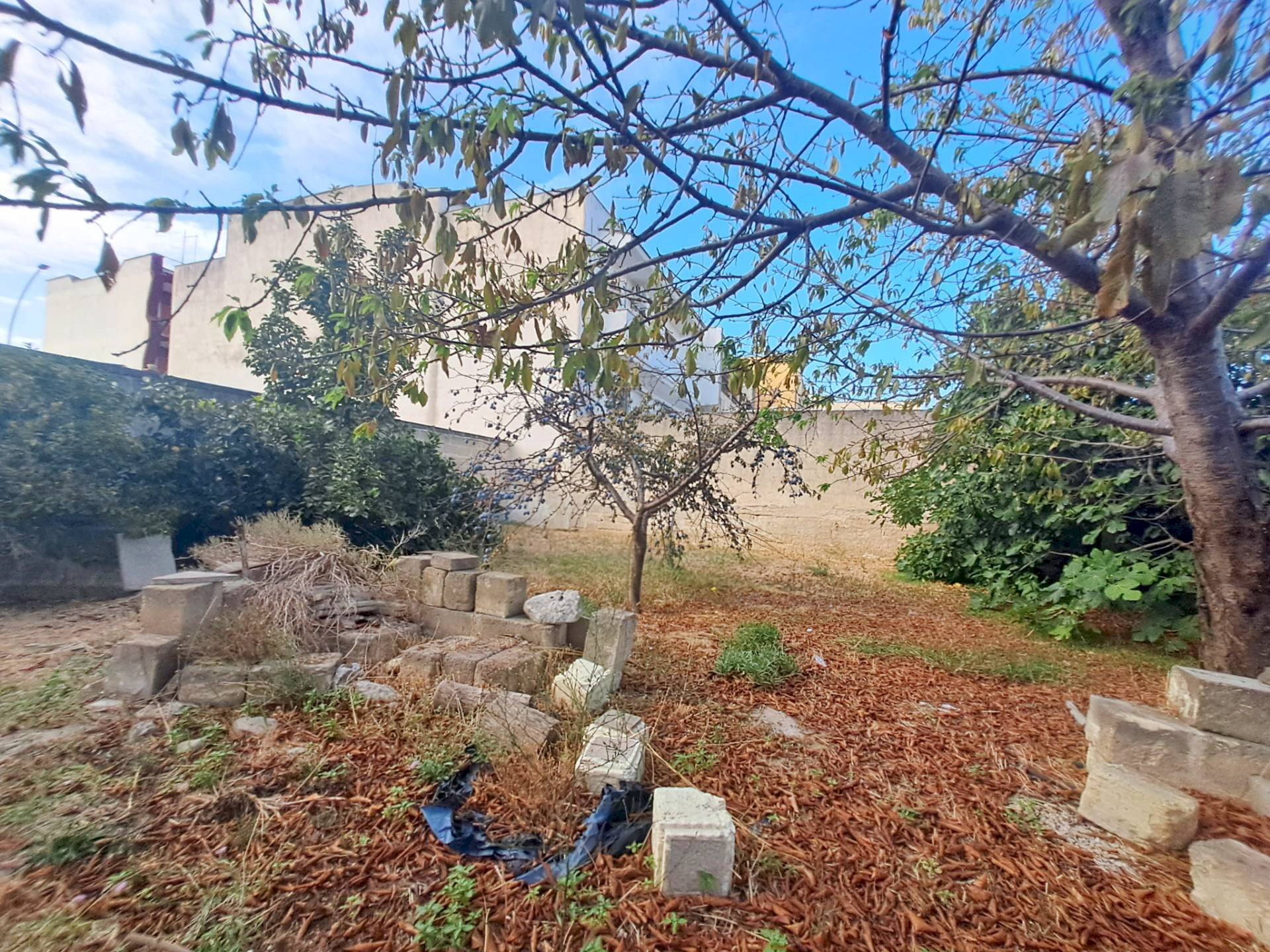 Giardino - Terreno edificabile Viale Grande Europa, Oria - foto 3