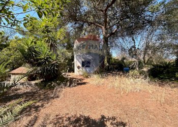 Giardino - Villa Novoli - photo 23