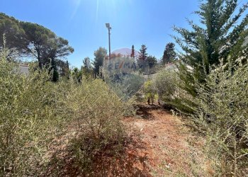 Giardino - Villa Novoli - photo 27