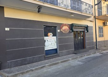 Foto 1 - Attività Commerciale Succivo - foto 1