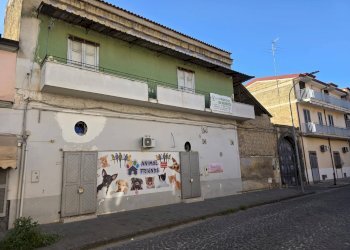 Foto 1 - Trilocale Orta di Atella - foto 1