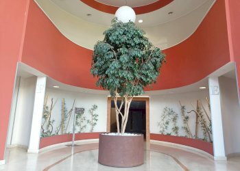 Foto 2 - Bilocale VIA PESCHIERA
 
7, Moncalieri - foto 2